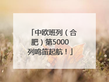 中欧班列（合肥）第5000列鸣笛起航！