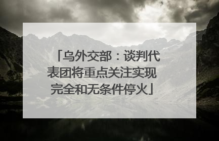 乌外交部：谈判代表团将重点关注实现完全和无条件停火