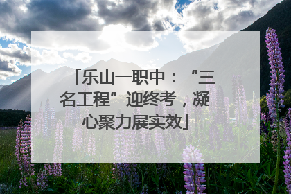 乐山一职中：“三名工程”迎终考，凝心聚力展实效