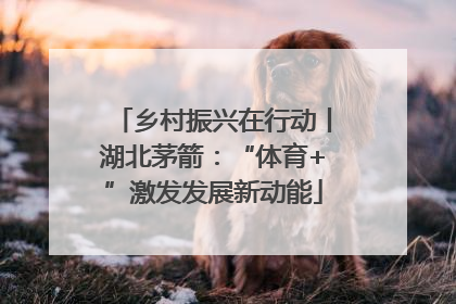 乡村振兴在行动丨湖北茅箭：“体育+”激发发展新动能