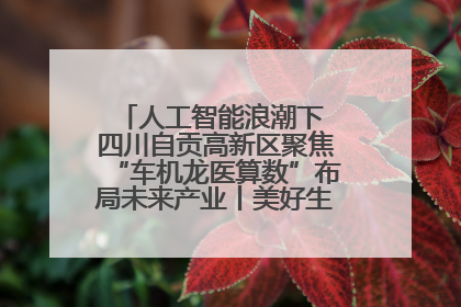 人工智能浪潮下 四川自贡高新区聚焦“车机龙医算数”布局未来产业丨美好生活有“盐”味