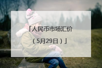 人民币市场汇价（5月29日）