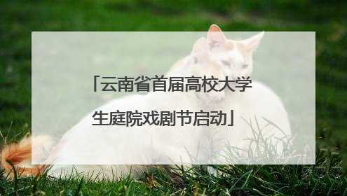 云南省首届高校大学生庭院戏剧节启动