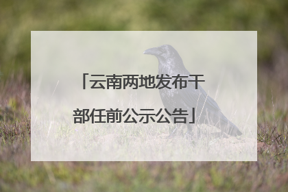 云南两地发布干部任前公示公告