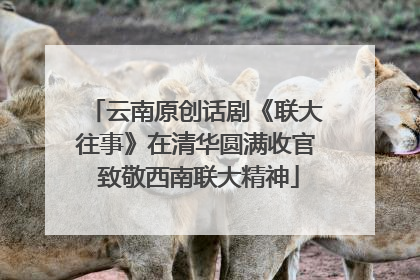 云南原创话剧《联大往事》在清华圆满收官 致敬西南联大精神