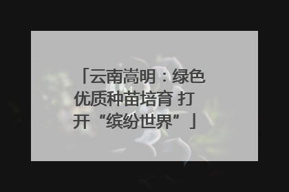 云南嵩明：绿色优质种苗培育 打开“缤纷世界”