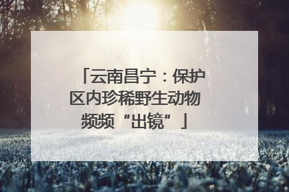 云南昌宁：保护区内珍稀野生动物频频“出镜”