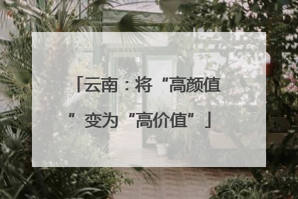 云南：将“高颜值”变为“高价值”