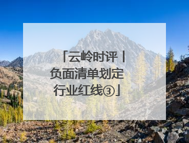云岭时评丨负面清单划定行业红线③