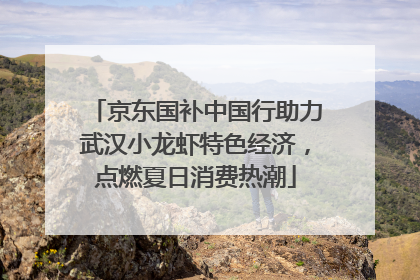 京东国补中国行助力武汉小龙虾特色经济，点燃夏日消费热潮