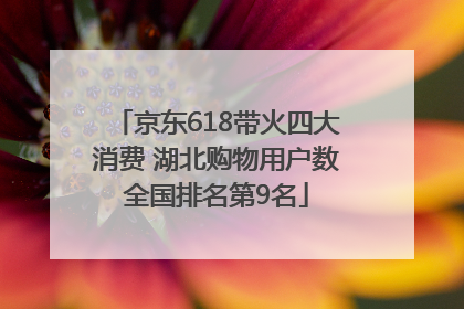 京东618带火四大消费 湖北购物用户数全国排名第9名