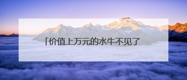 价值上万元的水牛不见了 民警用无人机发现其踪迹