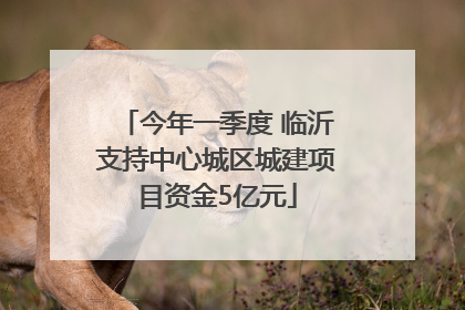 今年一季度 临沂支持中心城区城建项目资金5亿元