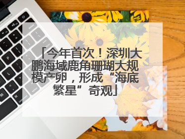 今年首次！深圳大鹏海域鹿角珊瑚大规模产卵，形成“海底繁星”奇观