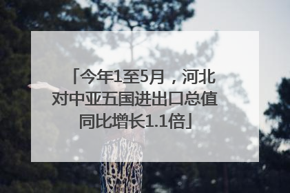 今年1至5月，河北对中亚五国进出口总值同比增长1.1倍