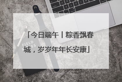 今日端午丨粽香飘春城，岁岁年年长安康