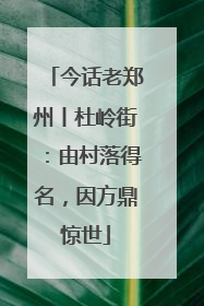 今话老郑州丨杜岭街：由村落得名，因方鼎惊世