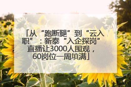 从“跑断腿”到“云入职”：新泰“入企探岗”直播让3000人围观，60岗位一周填满
