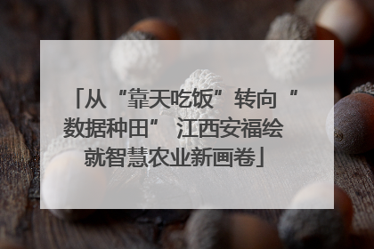 从“靠天吃饭”转向“数据种田” 江西安福绘就智慧农业新画卷