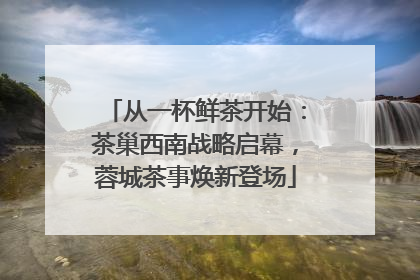 从一杯鲜茶开始：茶巢西南战略启幕，蓉城茶事焕新登场