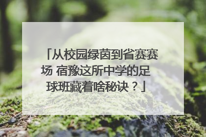 从校园绿茵到省赛赛场 宿豫这所中学的足球班藏着啥秘诀？