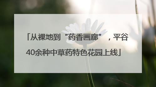 从裸地到“药香画廊”，平谷40余种中草药特色花园上线
