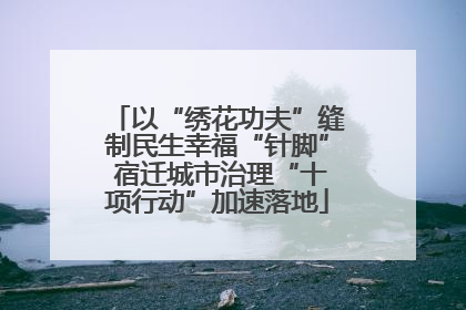 以“绣花功夫”缝制民生幸福“针脚” 宿迁城市治理“十项行动”加速落地
