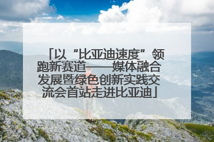 以“比亚迪速度”领跑新赛道——媒体融合发展暨绿色创新实践交流会首站走进比亚迪