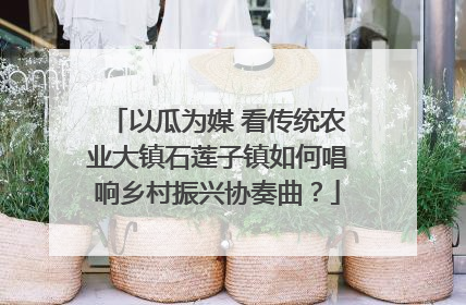 以瓜为媒 看传统农业大镇石莲子镇如何唱响乡村振兴协奏曲？