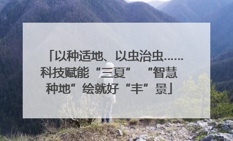 以种适地、以虫治虫……科技赋能“三夏” “智慧种地”绘就好“丰”景