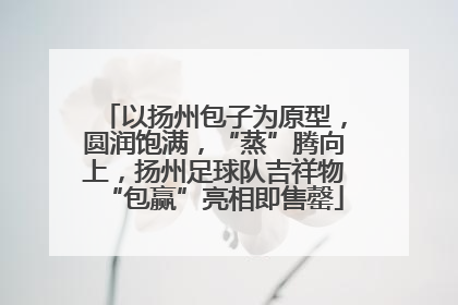 以扬州包子为原型，圆润饱满，“蒸”腾向上，扬州足球队吉祥物“包赢”亮相即售罄