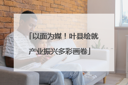 以面为媒！叶县绘就产业振兴多彩画卷