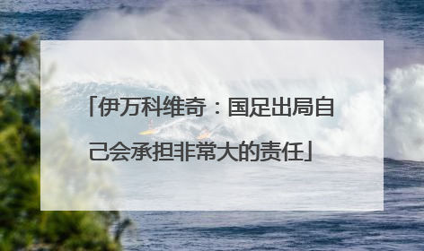 伊万科维奇：国足出局自己会承担非常大的责任