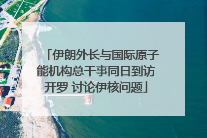 伊朗外长与国际原子能机构总干事同日到访开罗 讨论伊核问题
