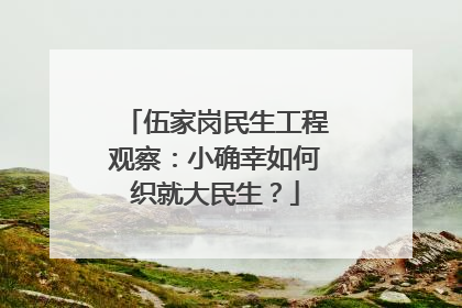伍家岗民生工程观察：小确幸如何织就大民生？