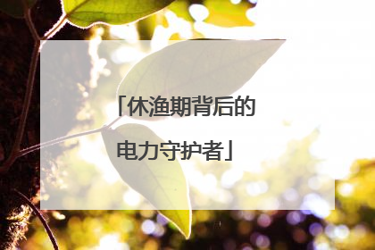 休渔期背后的电力守护者