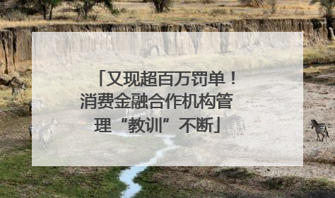 又现超百万罚单！消费金融合作机构管理“教训”不断