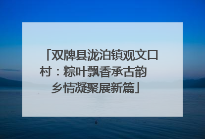 双牌县泷泊镇观文口村：粽叶飘香承古韵 乡情凝聚展新篇