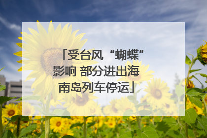受台风“蝴蝶”影响 部分进出海南岛列车停运