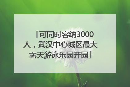 可同时容纳3000人，武汉中心城区最大露天游泳乐园开园