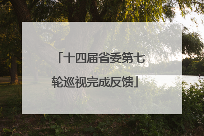 十四届省委第七轮巡视完成反馈