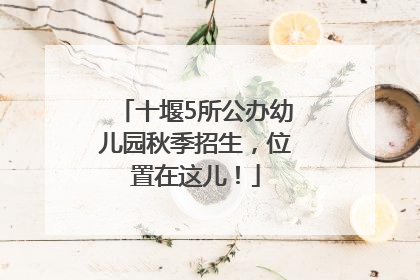十堰5所公办幼儿园秋季招生，位置在这儿！