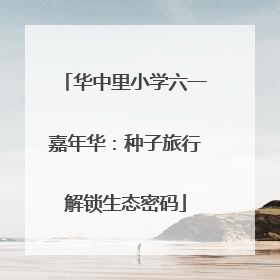 华中里小学六一嘉年华：种子旅行解锁生态密码