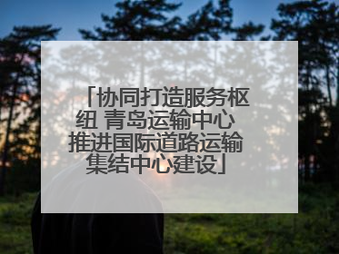 协同打造服务枢纽 青岛运输中心推进国际道路运输集结中心建设
