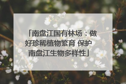 南盘江国有林场：做好珍稀植物繁育 保护南盘江生物多样性
