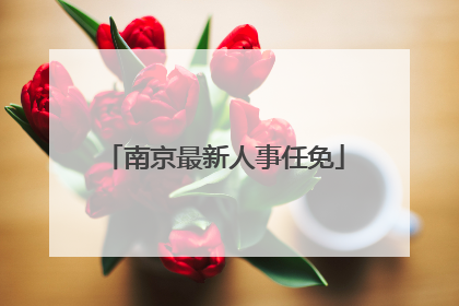 南京最新人事任免