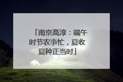 南京高淳：端午时节农事忙，夏收夏种正当时