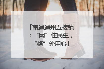 南通通州五接镇：“网”住民生，“格”外用心