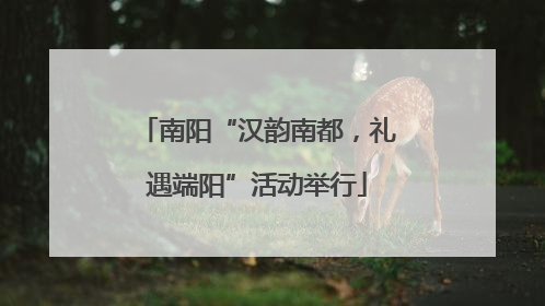 南阳“汉韵南都，礼遇端阳”活动举行