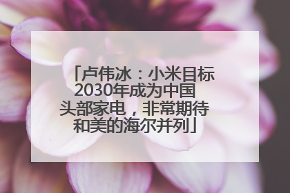 卢伟冰：小米目标2030年成为中国头部家电，非常期待和美的海尔并列